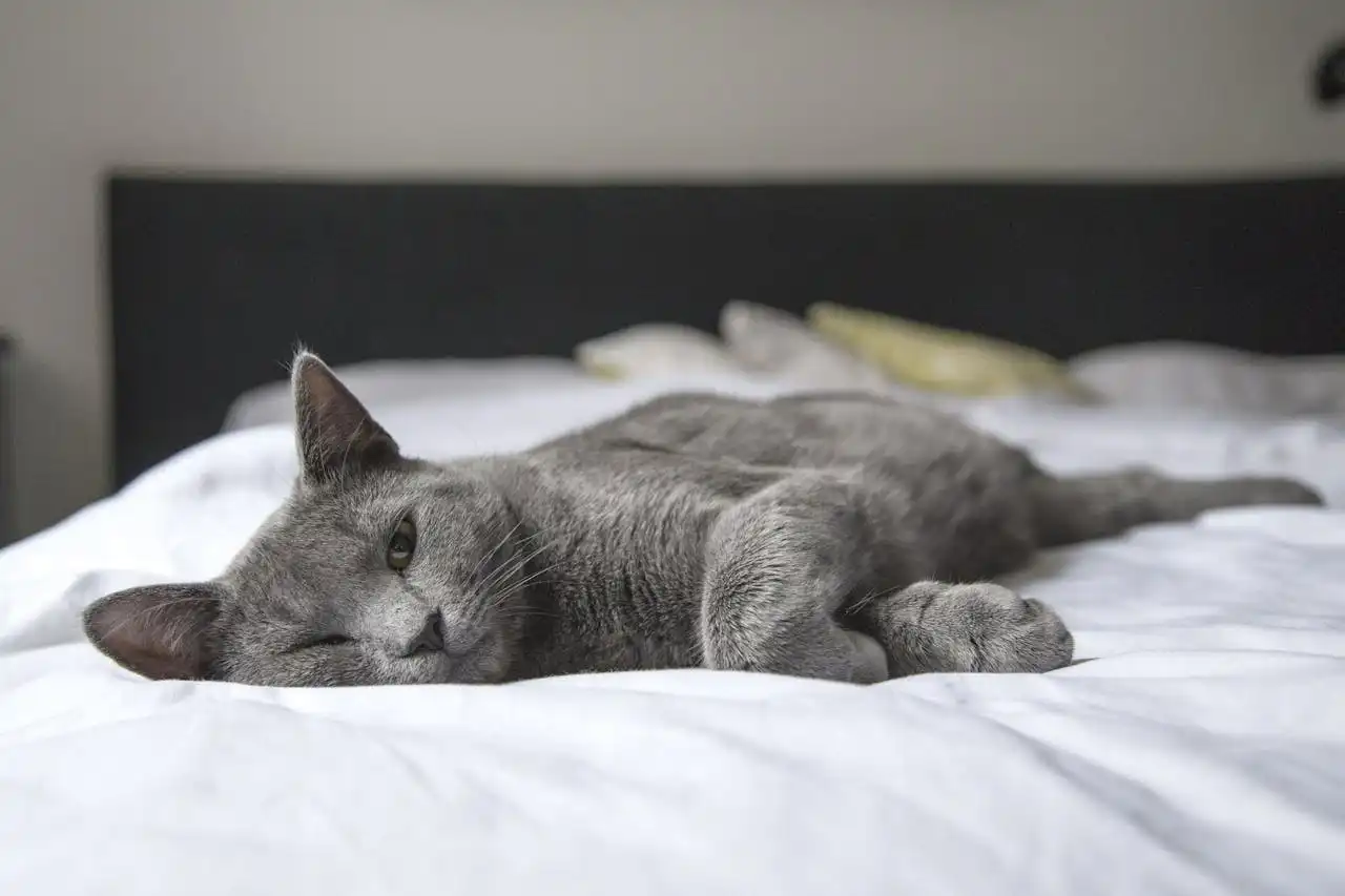 qualité-du-sommeil
